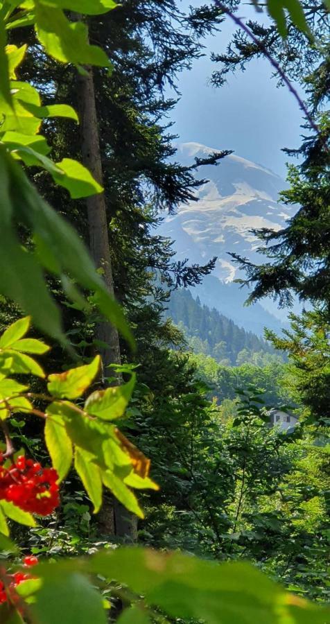 Castel De Roches Apartment แซ็งต์-แฌร์เวส์-เลส์-แบ็งส์ ภายนอก รูปภาพ